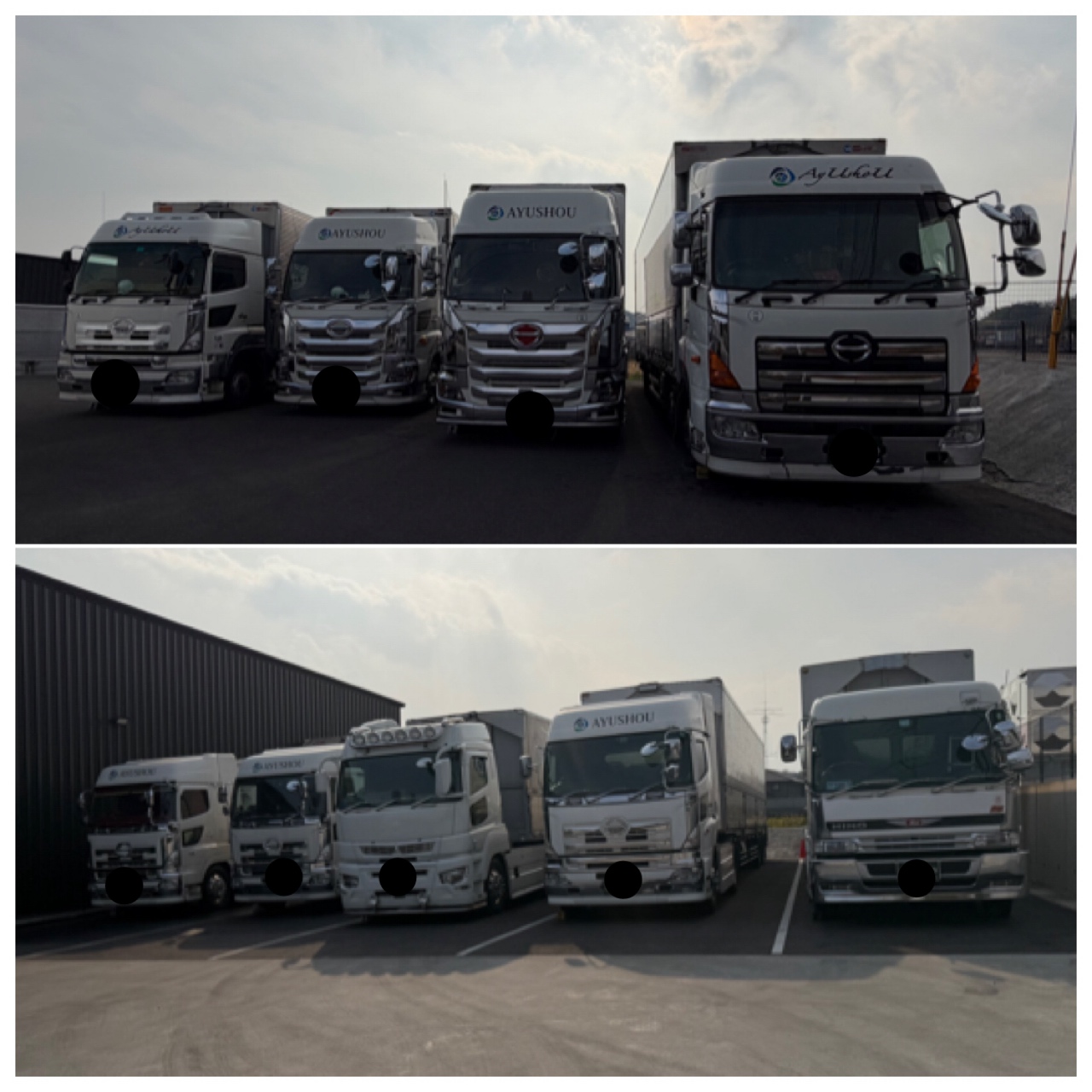 今週も１週間お疲れ様でした！
無事に走り切れたのも、日々の安全運転のおかげです。
来週も安全運転でよろしくお願いします🚚✨

#株式会社AYUSHOU #日出町 #運送業 #運送会社 #看板犬 #犬好きさんと繋がり #犬好きな人と繋がりたい #会社に犬がいます #わんちゃんと一緒 #わんちゃん大好き #わんちゃん #運送業と繋がりたい #運送業を盛り上げたい #日野自動車 #三菱ふそう #udトラック #volvoトラック #ボルボトラック #トレーラー #大型 #大型トラック #トラックマン #トラックドライバー #トラック #トラック好き #トラック運転手 #ayushou #あゆしょう #株式会社ayushou